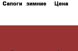  Сапоги  зимние  › Цена ­ 1 500 - Свердловская обл. Дети и материнство » Детская одежда и обувь   